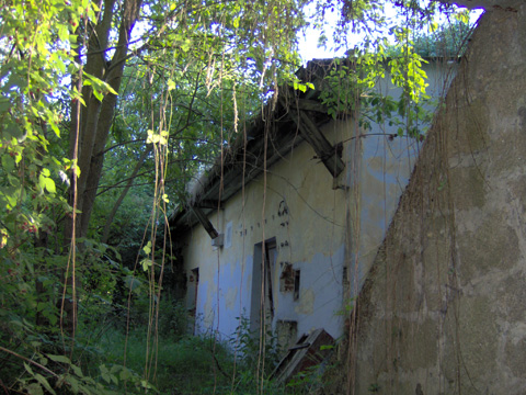 Foto 41